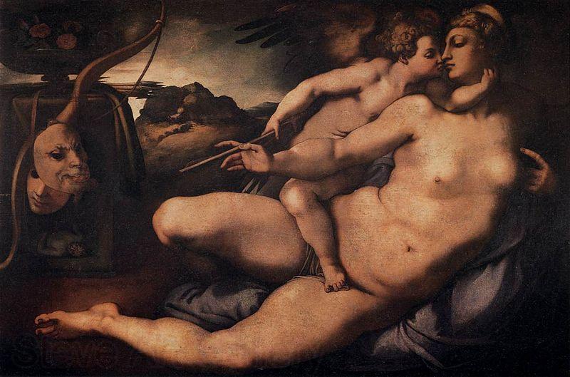 Jacopo Pontormo Venus and Cupid